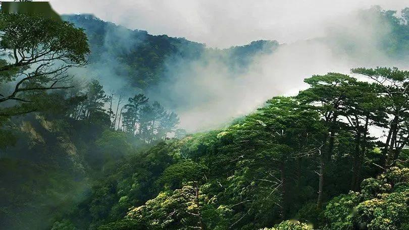 公司只有自己一个设计师是一种怎样的体验？游戏画面